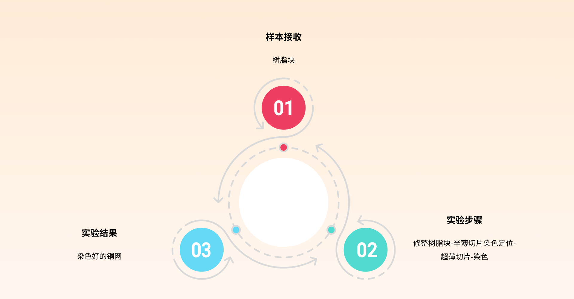 1689823370516846.png 副本_副本_循环图组件PPT模板__2023-07-20+11_21_21.png