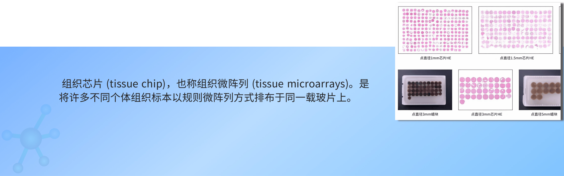 组织芯片制作.png