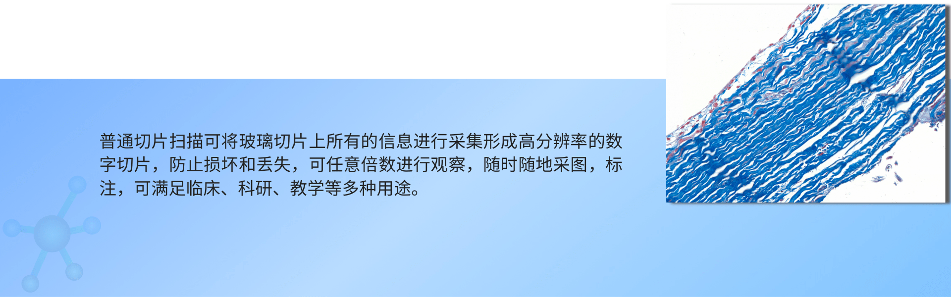 1691485111399697.png 普通切片扫描(白片) (1).png