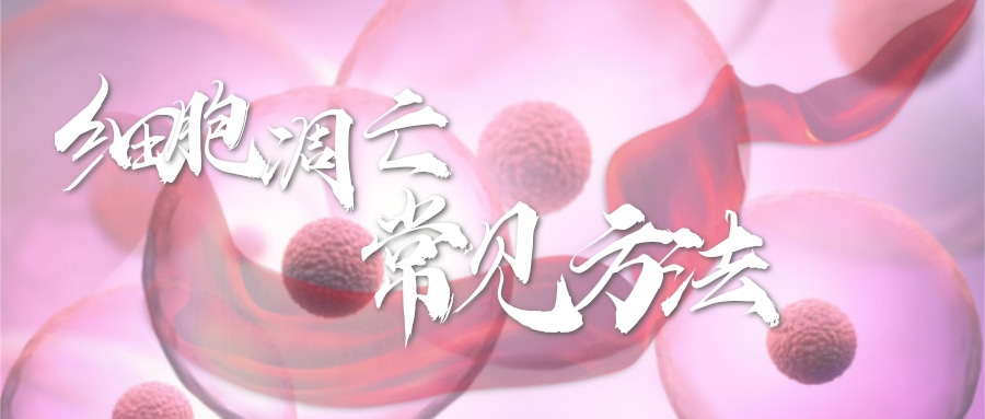 常用的细胞凋亡检测方法