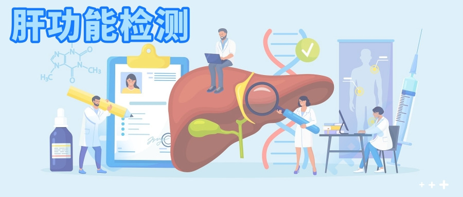 揭秘肝功能检测