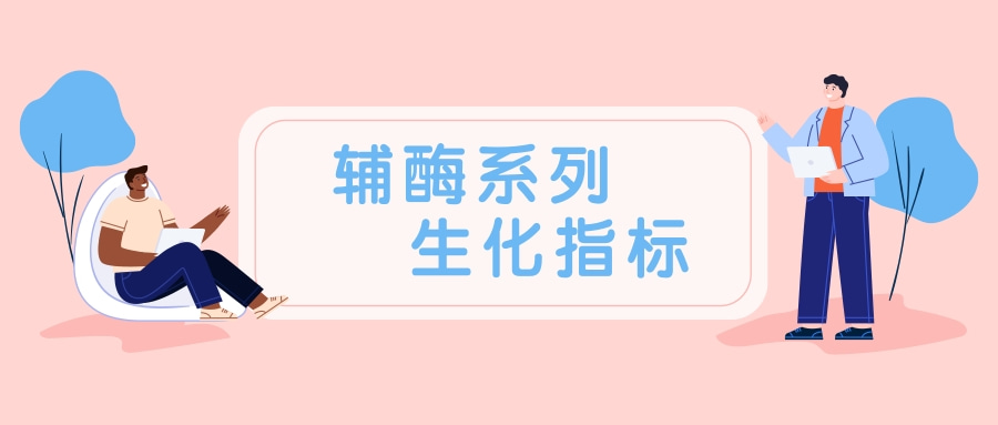 辅酶系列|生化指标