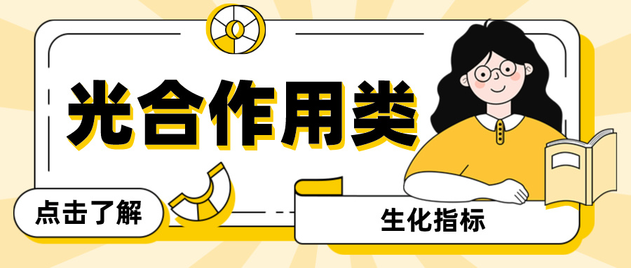 光合作用类检测|生化指标