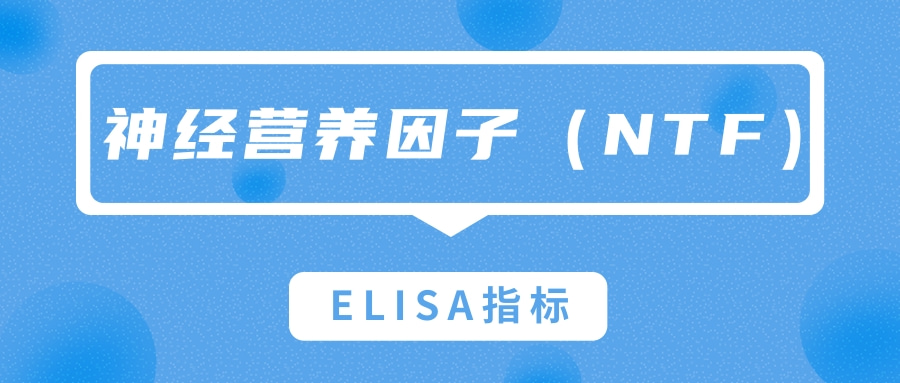 神经营养因子（NTF）|ELISA指标