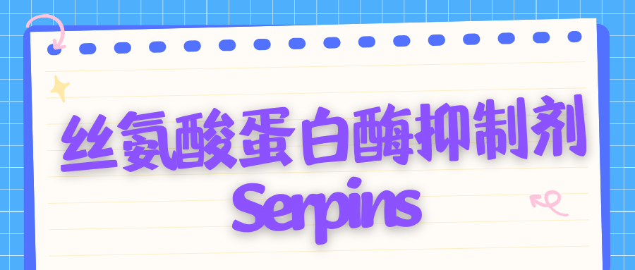 丝氨酸蛋白酶抑制剂Serpins|茁彩生物