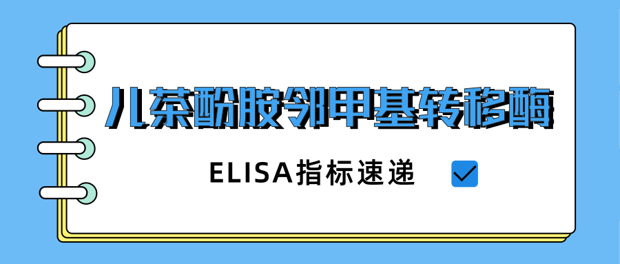 儿茶酚胺邻甲基转移酶(COMT)|ELISA指标