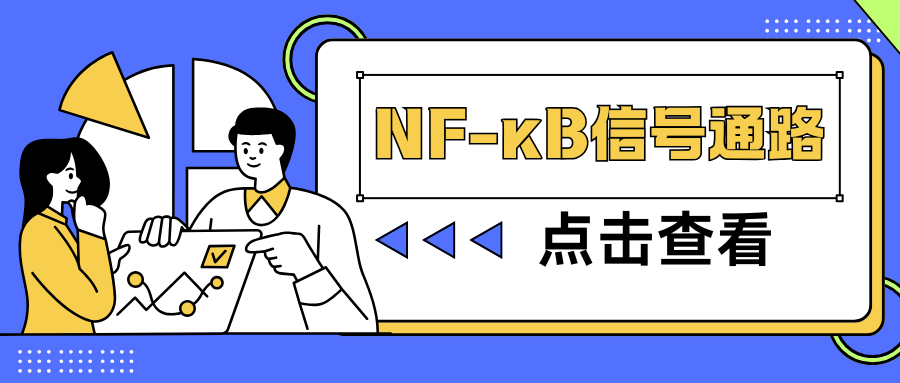 NF-κB信号通路|茁彩生物