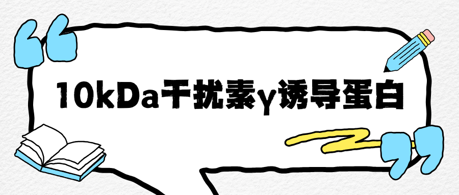 10kDa干扰素γ诱导蛋白(IP10/CXCL10)|ELISA指标