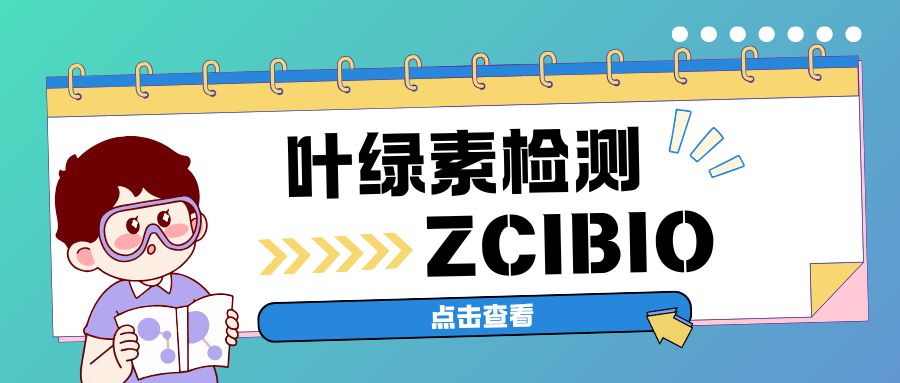 叶绿素含量检测|茁彩生物