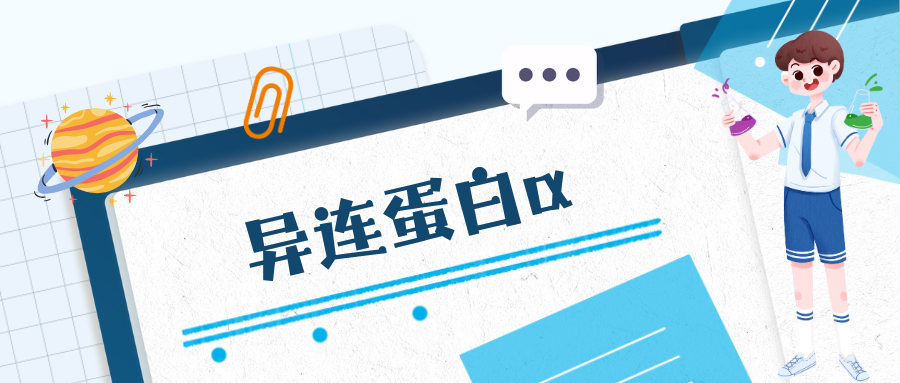 异连蛋白α(DTNα)|ELISA指标