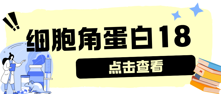细胞角蛋白18(CK-18)|ELISA指标