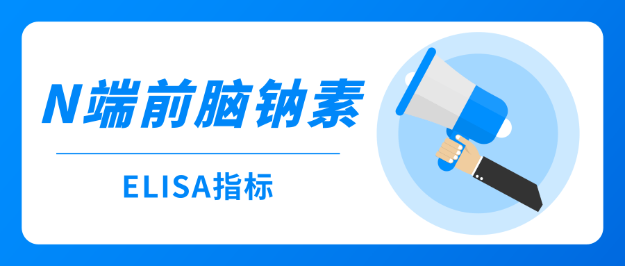 N端前脑钠素(NT-proBNP)|ELISA指标