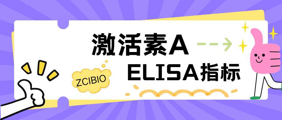 激活素A（ACV-A）|ELISA指标
