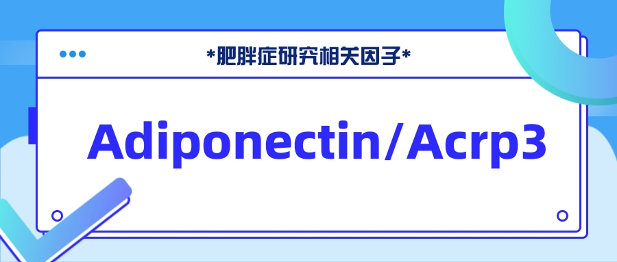 肥胖症研究相关因子之Adiponectin/Acrp3