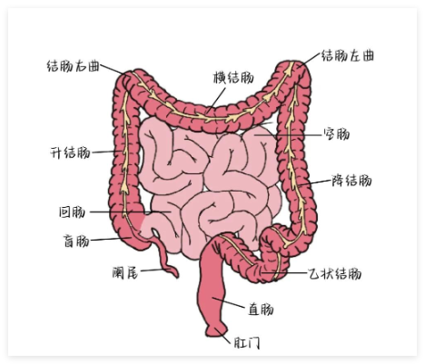 QQ_1760154107679.png
