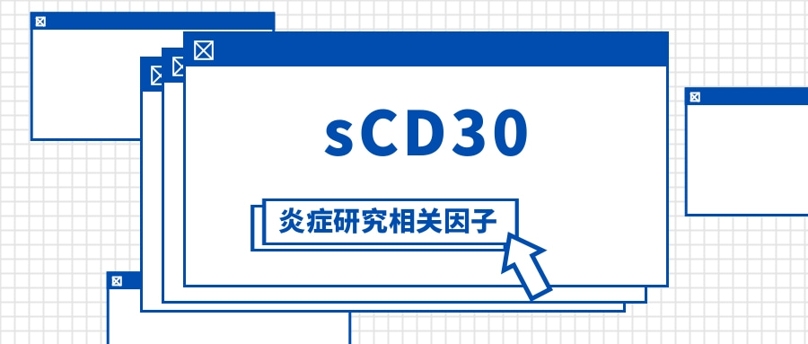 炎症研究相关因子之sCD30