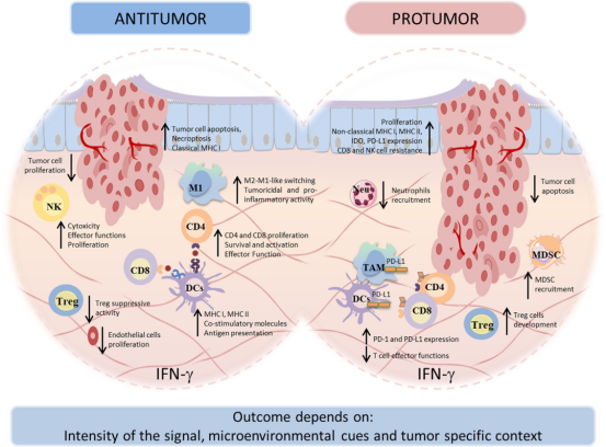 1760926602146190.png image.png